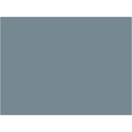P110 Gris artillerie PO  30ml