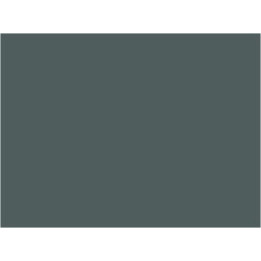 P119 Gris minéraliers SGW  30ml