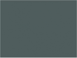 P119 Gris minéraliers SGW  30ml
