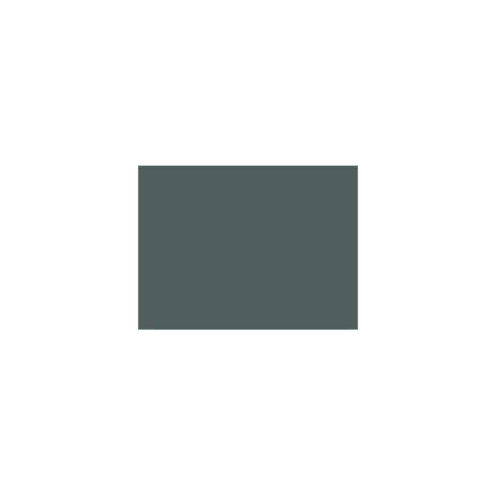 P119 Gris minéraliers SGW  30ml