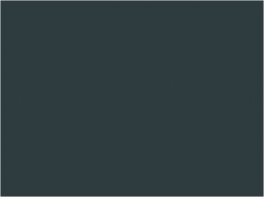 P132 Gris cendré Nord  30ml