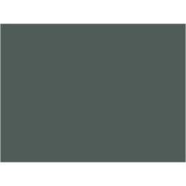 P142 Gris ardoise (SNCF 807)  30ml