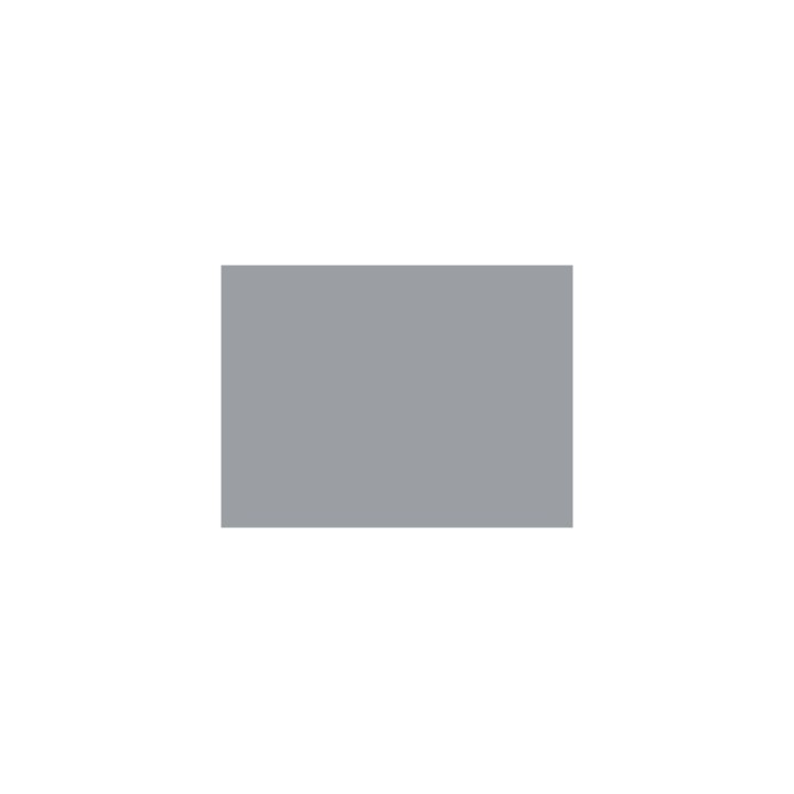 P178 Gris argent métallisé (SNCF 803)  30ml