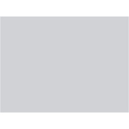 P146 Gris ciment (SNCF 804)  30ml