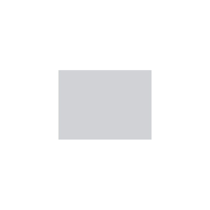 P146 Gris ciment (SNCF 804)  30ml