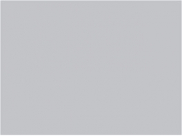 P185 Gris céréaliers 30ml