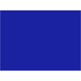 P002 Bleu TSO 30ml