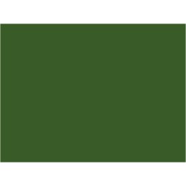 P006 Vert kaki ROD War Department 30ml