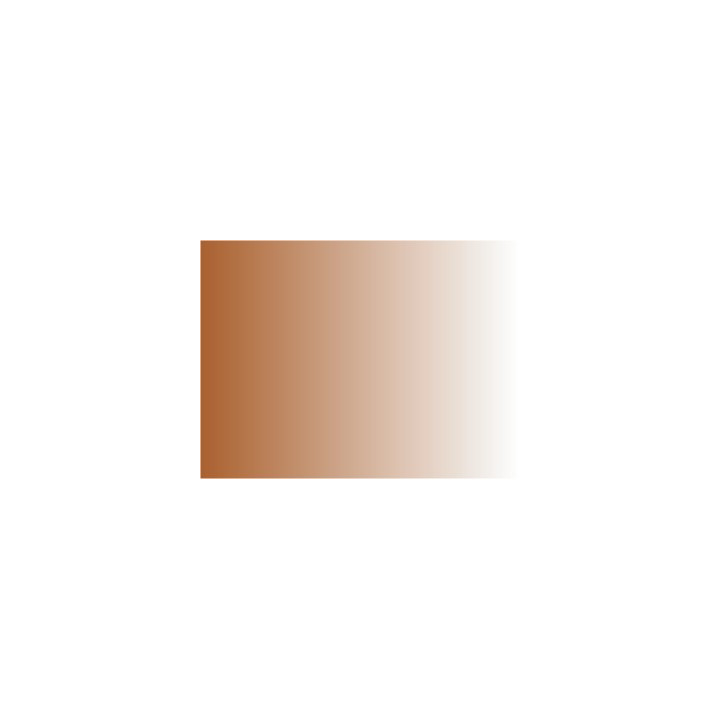P203 Patine rouille 30ml