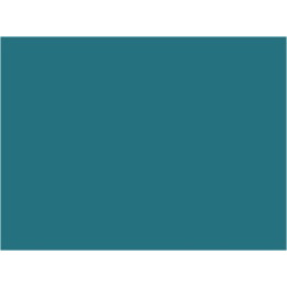 P009 Bleu HLE SNCB 30ml