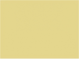P010 Crème SNCV 30ml